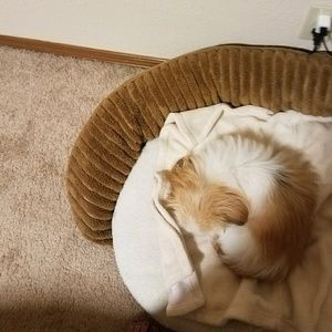 Meet your Posher, Doris